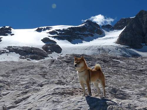 晨露与熔岩，同一种体育心跳