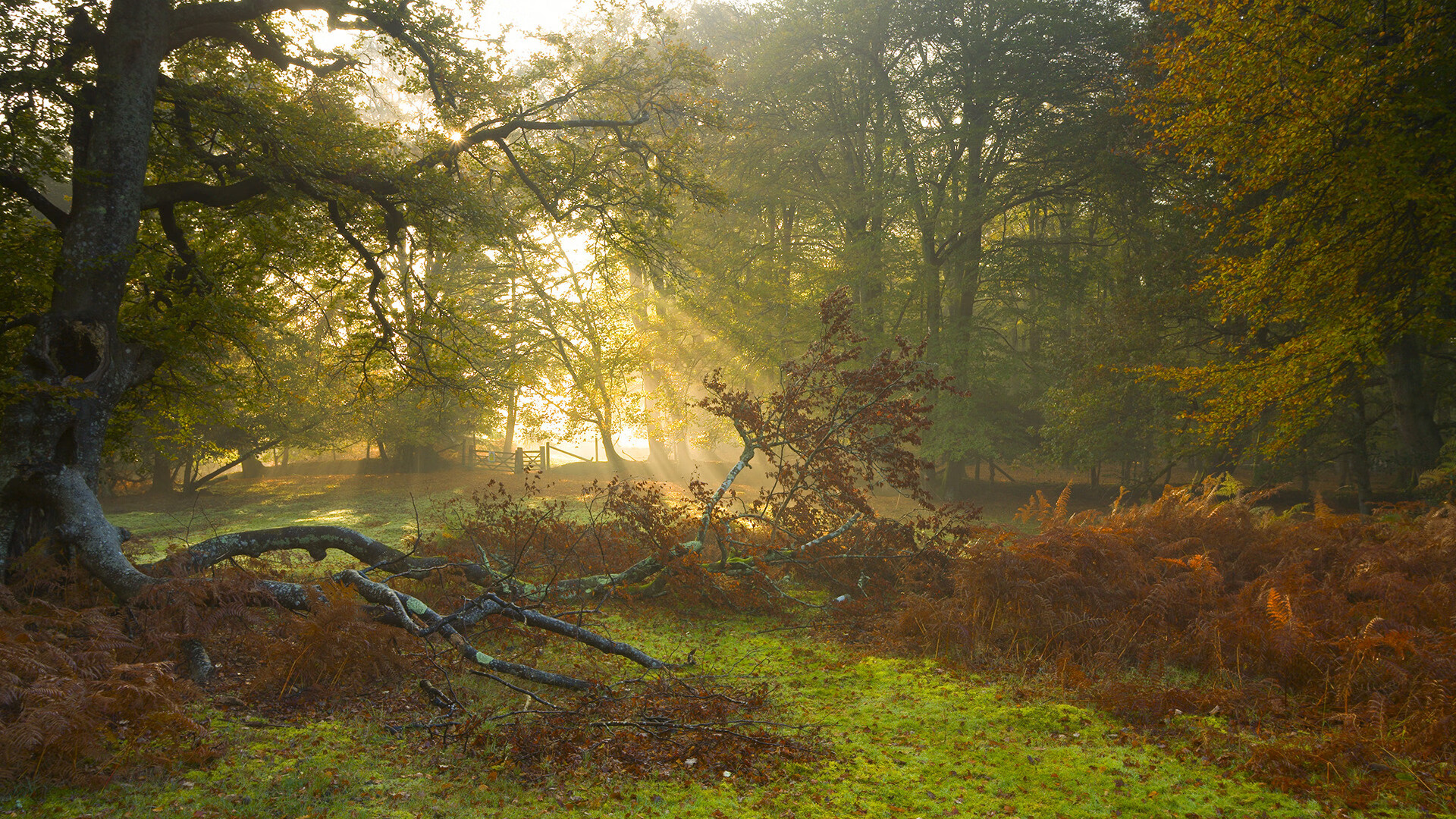 绿茵与球台的双重奏，当轻取遇见统治