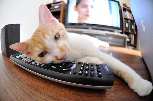 梅赛德斯碾压索伯，阿隆索点燃激情之夜—F1赛场上的双重震撼