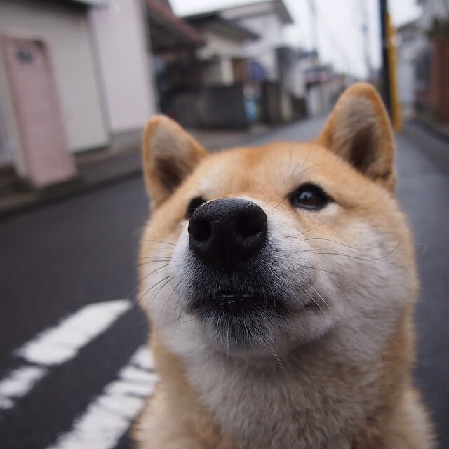 读秒时刻的一剑封喉，富安健洋首秀即绝杀，国际米兰决胜局带走比利亚雷亚尔