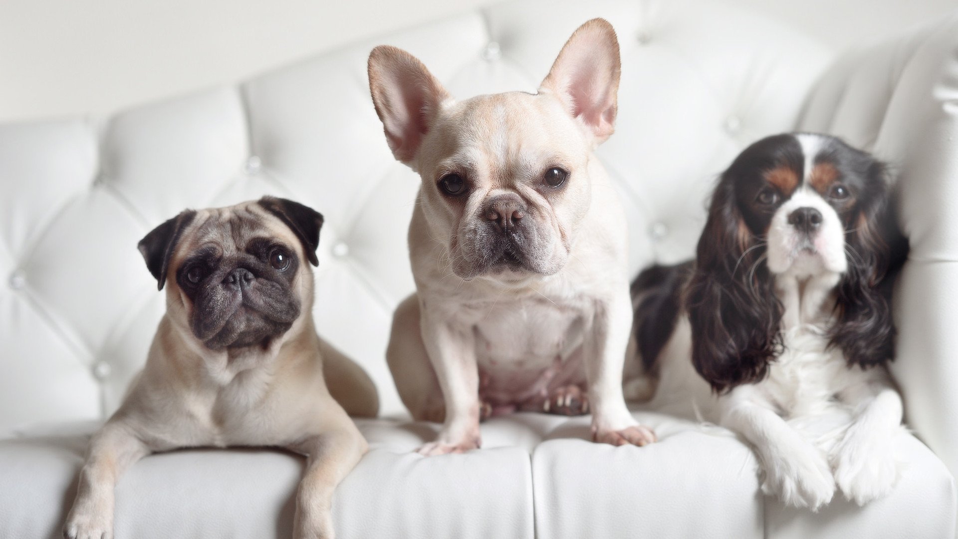 1-0背后的战争，瑞士战术完胜几内亚，凯恩89分钟绝杀封神