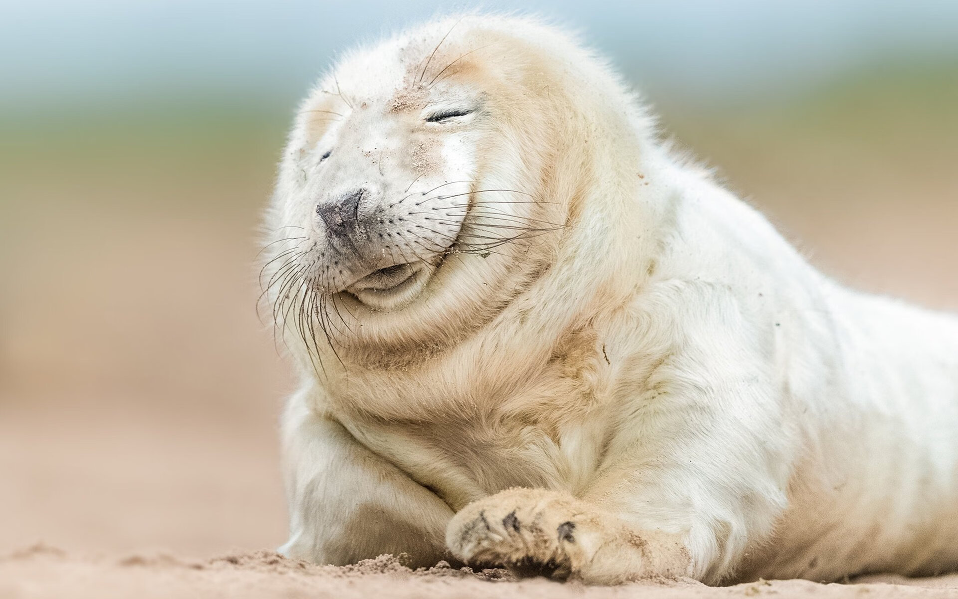 跨界交锋，美加墨世界杯焦点战预热，凯尔特人篮球旋风冲垮吉林队