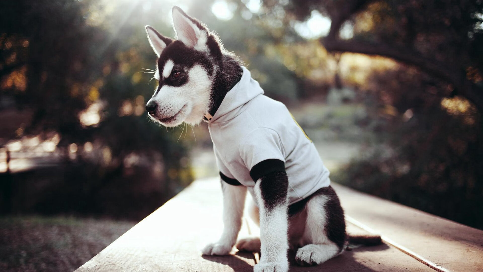 东岸铁血对决西岸豪强,尼克斯绝地反击,鏖战取胜快船