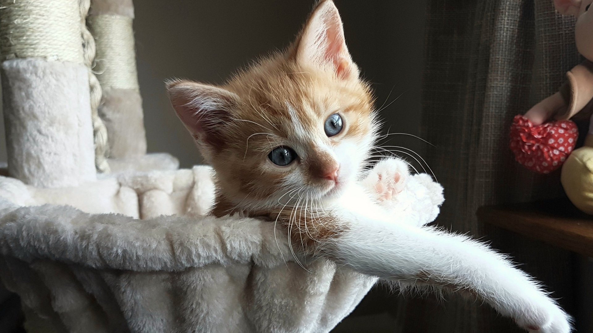 生死16秒！米切尔绝平续命+加时封神，篮网撕碎骑士双塔防线