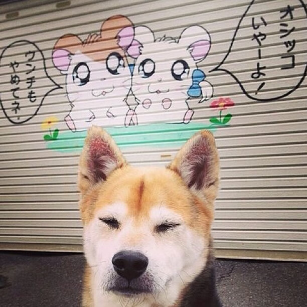 夜光下的独舞，切特在F1街道赛焦点战中证明自我