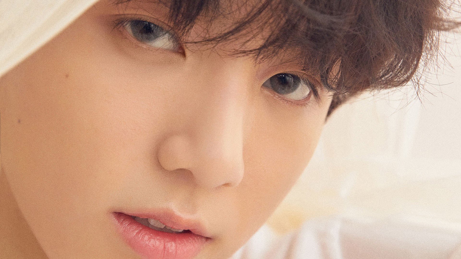 地缘防线VS绿茵铁闸，当伊朗的稳定输出遇见布雷默的不掉线哲学