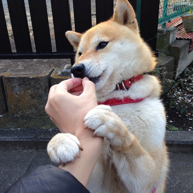 白色锁链与亚洲闪电，现代足球的战术融合与个人英雄主义