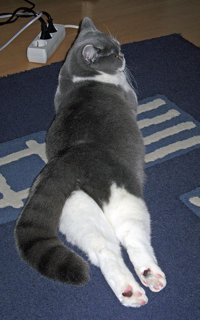 黎明前的暮光，班凯罗的47分如何让詹姆斯提前离场