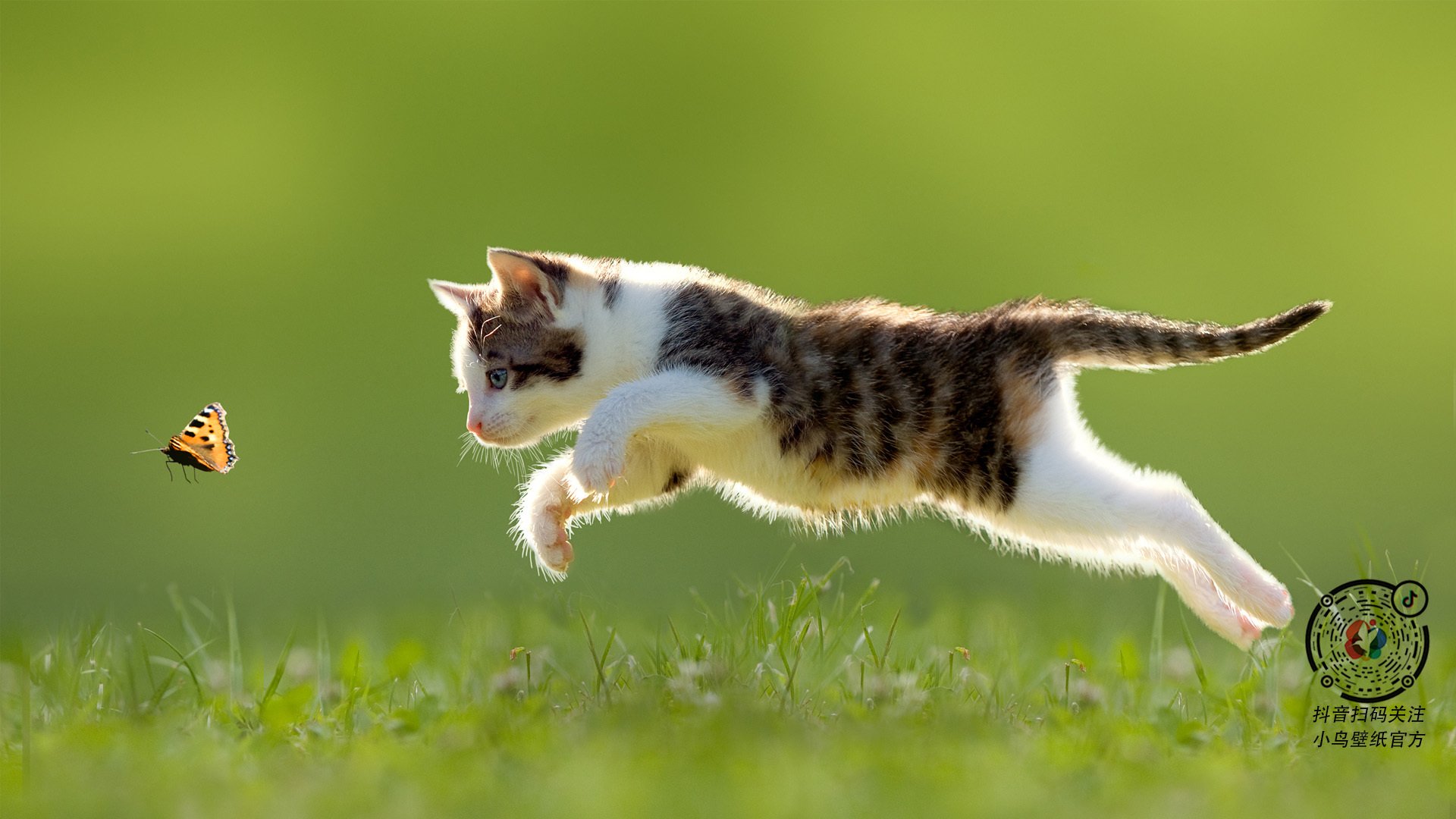 绿衫军三叉戟轰垮篮网防线，法国铁塔末节统治禁区